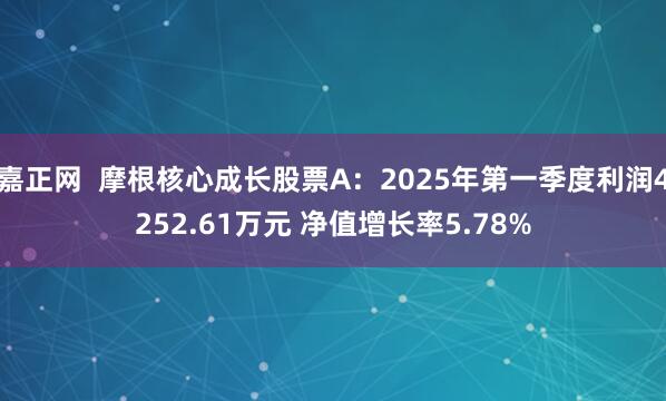 嘉正网  摩根核心成长股票A：2025年第一季度利润4252.61万元 净值增长率5.78%