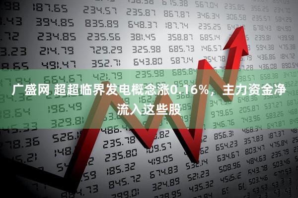 广盛网 超超临界发电概念涨0.16%，主力资金净流入这些股