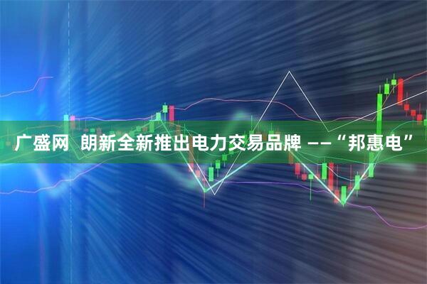 广盛网  朗新全新推出电力交易品牌 ——“邦惠电”